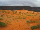 PICTURES/Coral Pink Sand Dunes/t_Dunes1.jpg